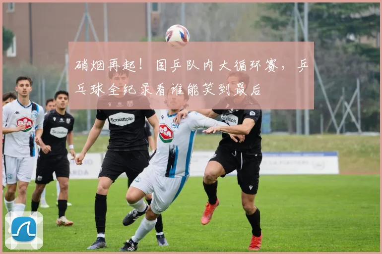硝烟再起！国乒队内大循环赛，乒乓球全纪录看谁能笑到最后